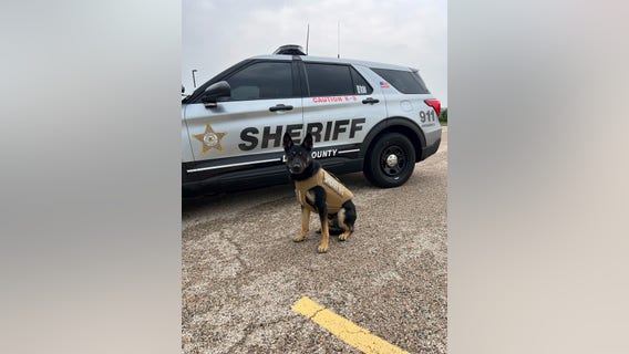 Rideshare driver attacked, robbed in north suburbs: sheriff