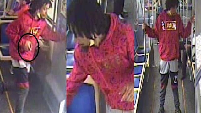 Chicago police seek help identifying suspect in CTA Pink Line robbery