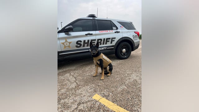 Rideshare driver attacked, robbed in north suburbs: sheriff