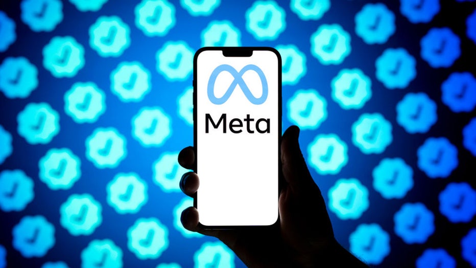 2f816691-Meta.jpg