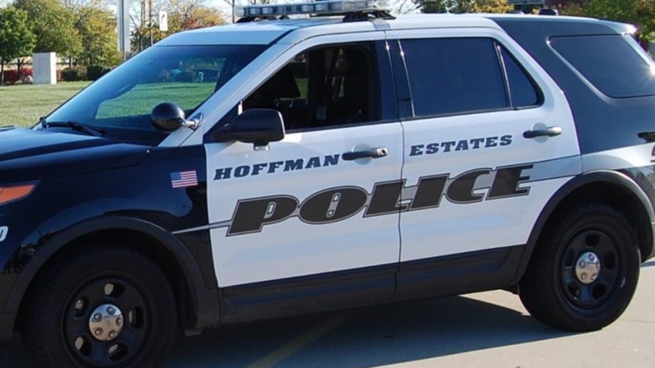 Man busted while trying to rob Chicago-area bank at gunpoint