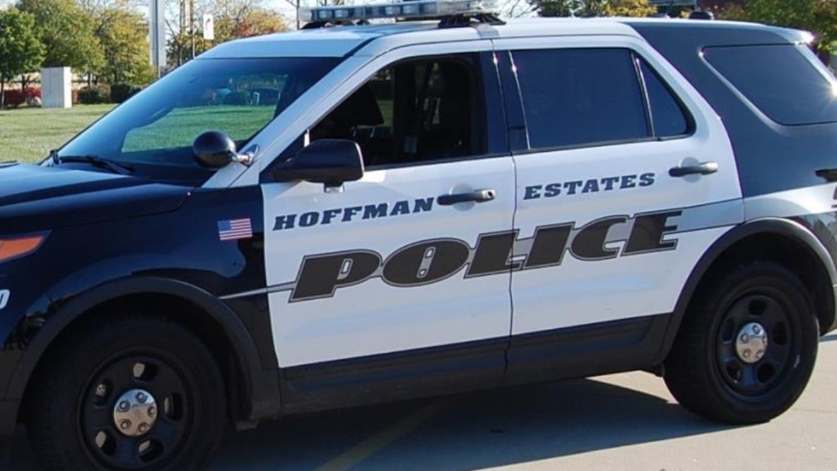 Man busted while trying to rob Chicago-area bank at gunpoint