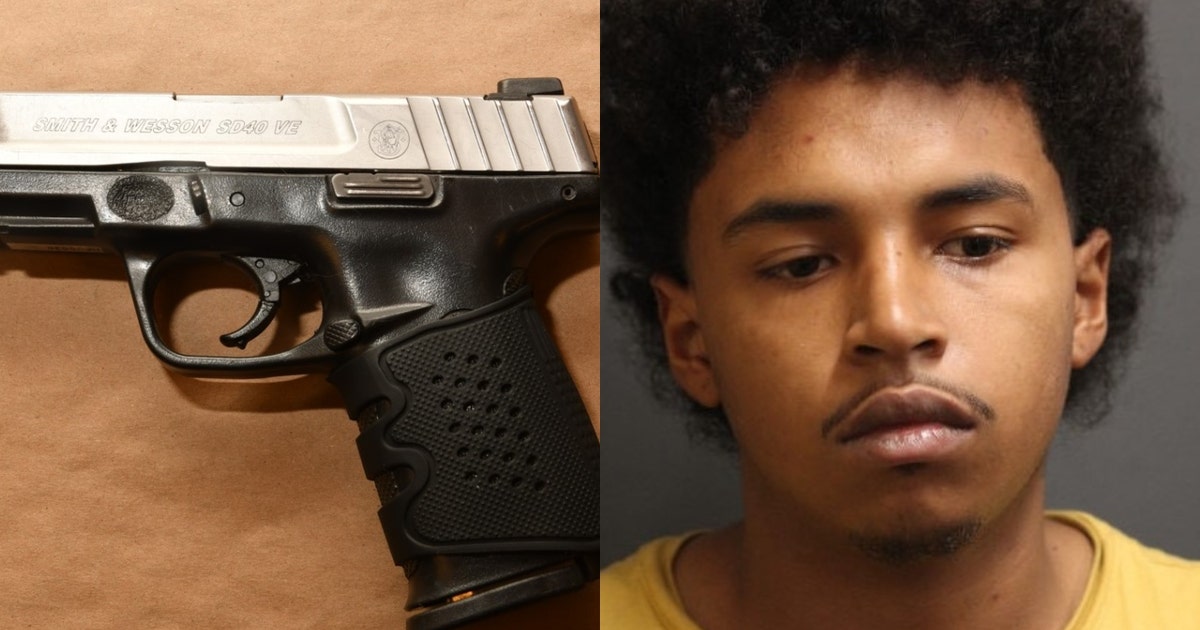Chicago man arrested after police find handgun, cannabis during traffic ...