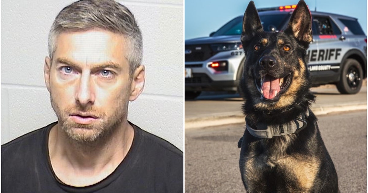 Lake County K9 captures suspect who threatened to shoot man during skid ...