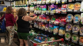 Inflation forcing Americans to spend $709 more per month than 2 years ago: economist