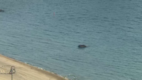 Stolen vehicle found in Lake Michigan just off 57th Street beach