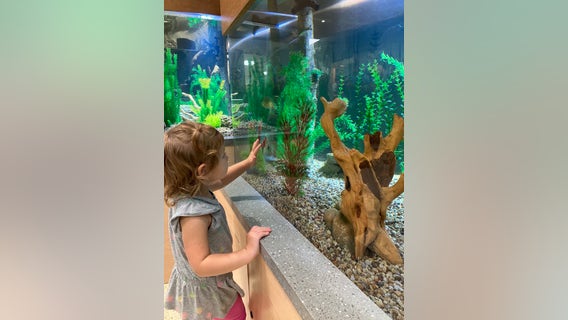 Crabtree Nature Center undergoes $2 million transformation