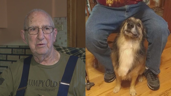 Chicago-area veteran seeks lost dog, offers $2K reward for reunion