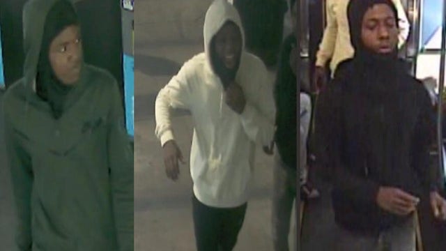 Suspects attempted to rob victim at gunpoint at Red Line stop on Chicago's South Side: police