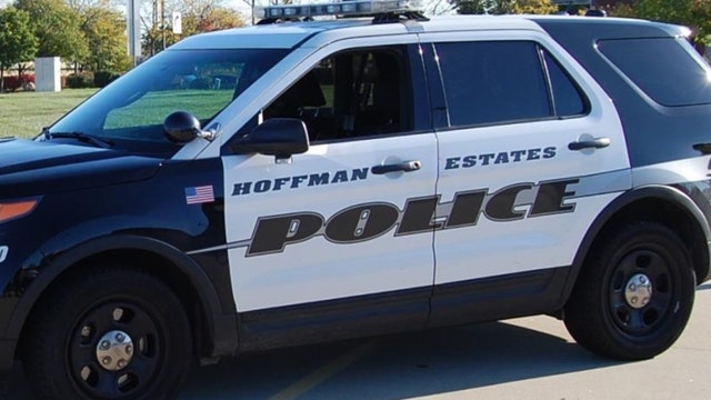 Cook County boy, 17, facing gun charges for double shooting