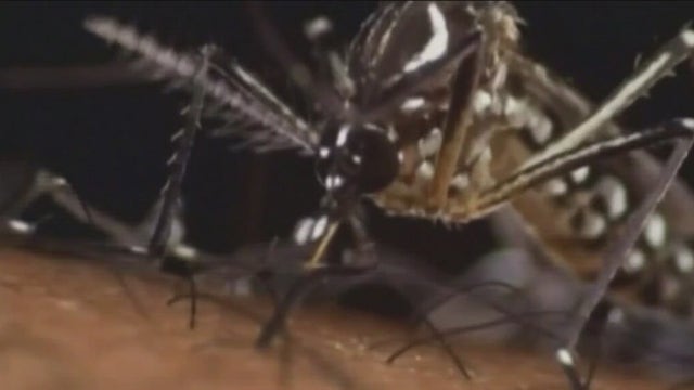 Cook County resident dies of West Nile Virus; first West Nile death reported in Illinois in 2023