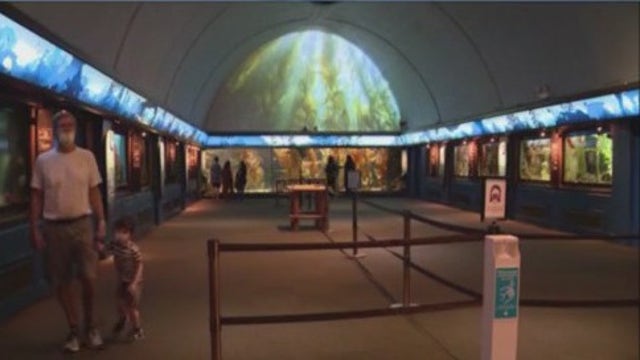 Explore Chicago's premier museums for free this fall