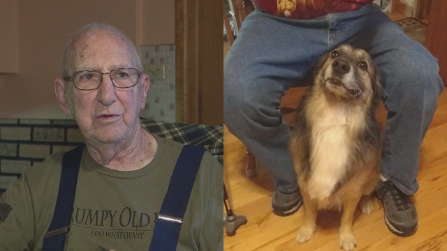Chicago-area veteran seeks lost dog, offers $2K reward for reunion