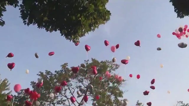 Family of murdered 14-year-old Chicago boy speaks out at vigil