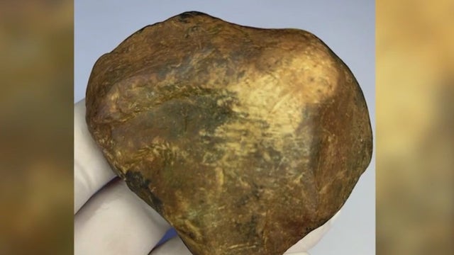 Indiana man believes meteorite crashed through his roof