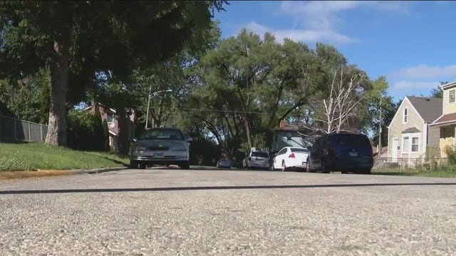 Woman found lying in street after being beaten and carjacked in Chicago suburb: 'the area is getting worse'