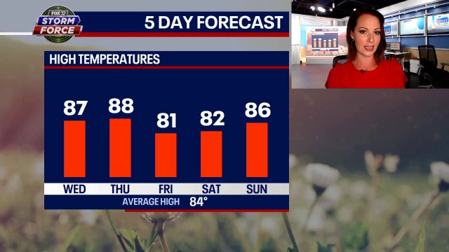 Chicago weather: Warmer, more humid Wednesday and Thursday