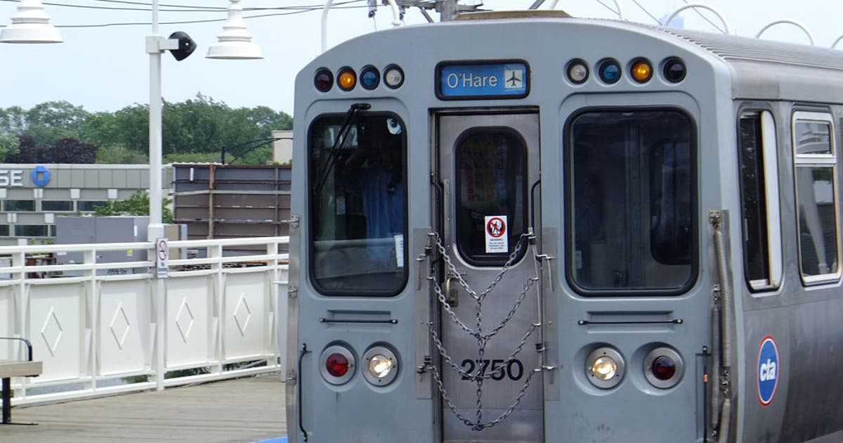 Chicago man carried loaded gun in shopping bag on CTA train: prosecutors