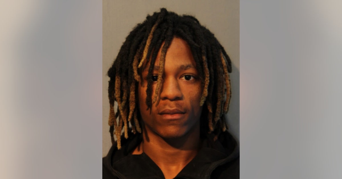 Chicago man, 19, charged with robbing woman at gunpoint in Park Manor ...