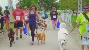 PAWS Chicago hosts annual 5K this Saturday