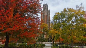 Curtain to rise soon on Chicago's fall colors show