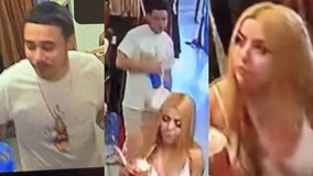 Norridge police seek to identify man, woman after gun goes off at Harlem Irving Plaza shopping mall