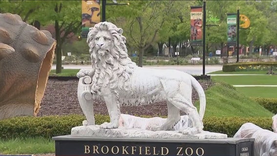 Chicago Zoological Society receives historic $40M donation for Brookfield Zoo