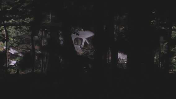 Small plane crashes in Elk Grove Village forest preserve