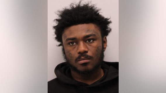 Chicago man charged with ransacking Mount Prospect business