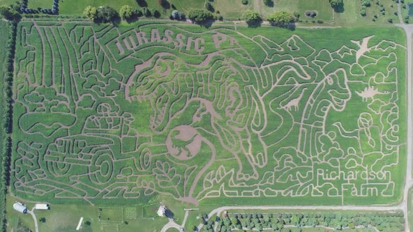 Chicago weekend events: From dinosaurs to dumplings, something for everyone