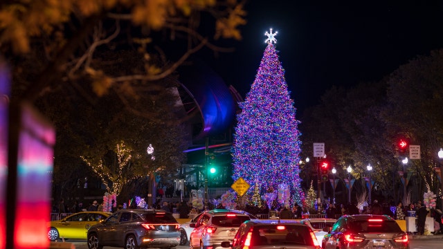Chicago accepting nominations for Millennium Park Christmas tree