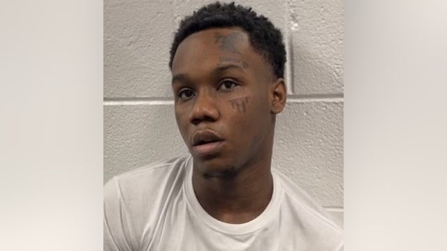 Chicago man who carjacked victim at gunpoint on I-94 released from police custody: ISP