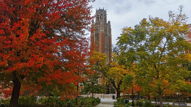 Curtain to rise soon on Chicago's fall colors show