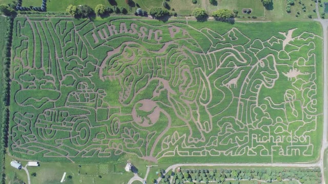 Chicago weekend events: From dinosaurs to dumplings, something for everyone