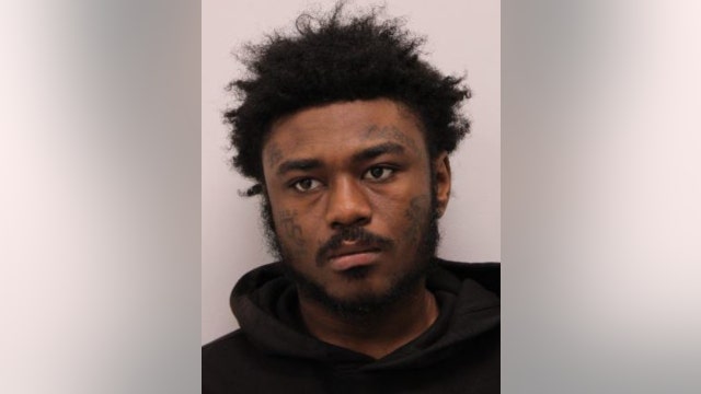 Chicago man charged with ransacking Mount Prospect business