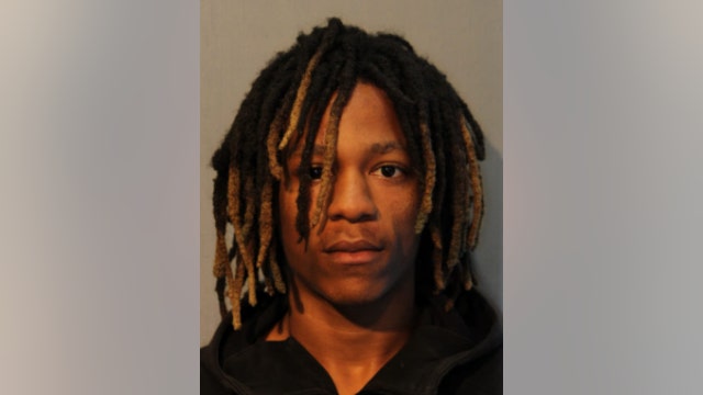 Chicago man, 19, charged with robbing woman at gunpoint in Park Manor