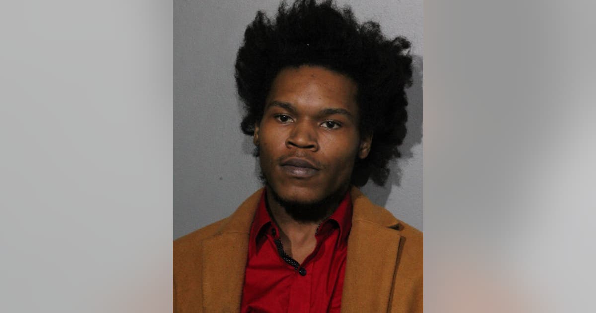 Chicago man assaulted 3 victims with baseball bat in Lincoln Park ...