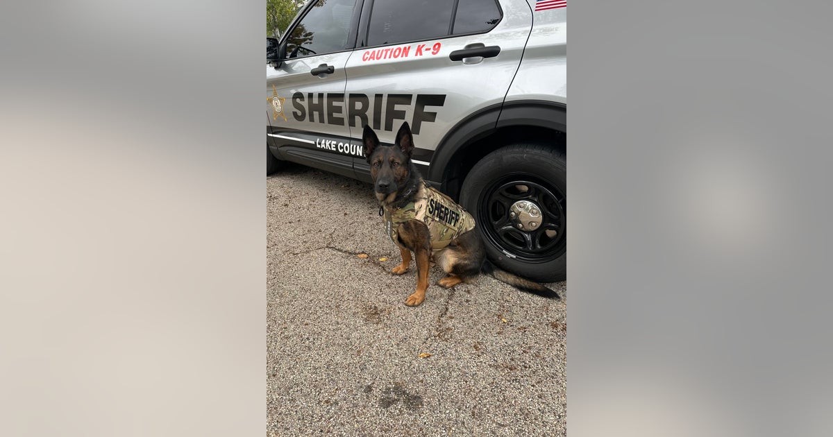 Lake County Sheriff’s K9 Axel suits up in newly donated body armor ...