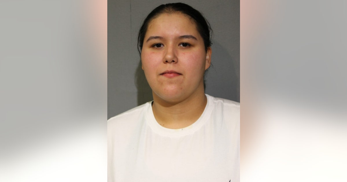 Chicago woman charged with armed carjacking in Bucktown | FOX 32 Chicago