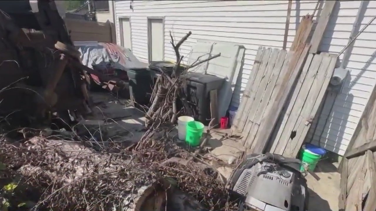 'It's embarrassing': Chicago resident frustrated over neighbors neglected yard infested with wildlife - Vimarsana News