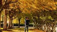 Chicago weather: Mild fall days continue before a cool-down next week