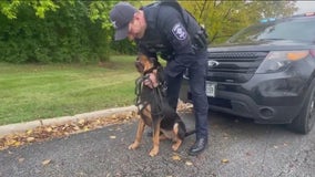 Aurora Police Department introduces its first Bloodhound K9 officer