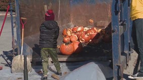 Don't trash your Halloween pumpkins! Must-know tips on eco-friendly disposal