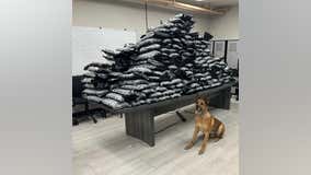 Suburban K9 trainee finds several hundred pounds of cannabis in odor-proof packaging