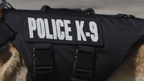 Wisconsin man accused of choking, gouging eyes of police K9 in Crown Point