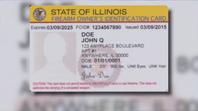 Naperville police seek additional officers to address backlog of revoked FOID cards