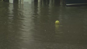 State officials discuss solutions for ongoing flood risks as Chicago area still recovers from summer flooding