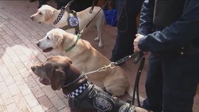 Chicago Police Memorial Foundation dedicates new plaza honoring fallen canine and equine Heroes