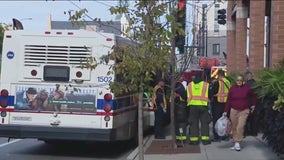 CTA bus crash: 8 hospitalized after vehicle strikes light pole