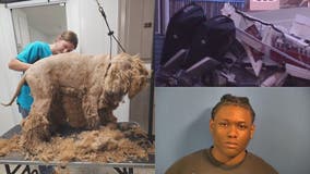 McHenry County boat crash • 104 Goldendoodles up for adoption • Indiana man brings machine gun to Topgolf